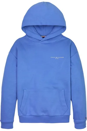 Tommy Hilfiger Unisex Hættetrøje Med Mini Logo7 år (122cm)