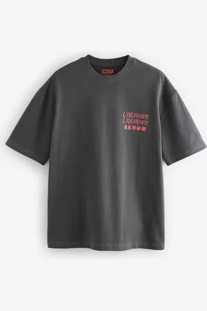 Next Relaxed Fit Graphic Heavyweight T-ShirtS