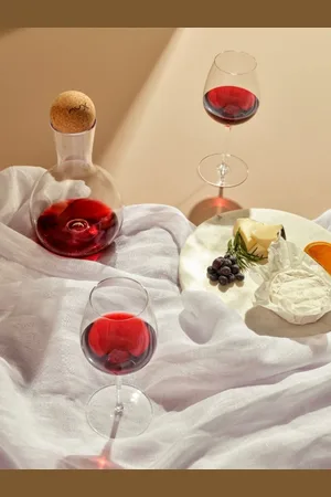 NUDE Vintage Wine Decanter and Terroir Wine Glasses Gift Seten