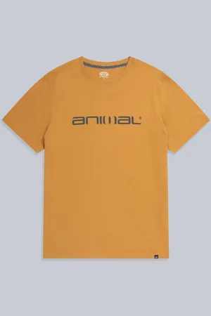 Animale Herre Classico økologisk T-shirtS