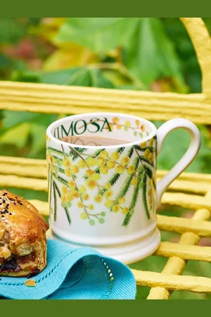 Emma Bridgewater Mimosa 1/2 Pint Mugen