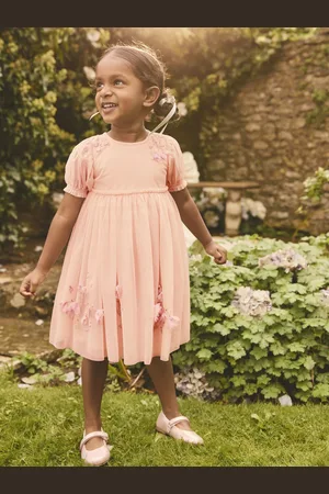 Next Embroidered Mesh Dress (3mths-8yrs)2 - 3 år (92 - 98cm)