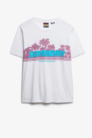 Superdry Outdoor Stripe Relaxed T-Shirt42