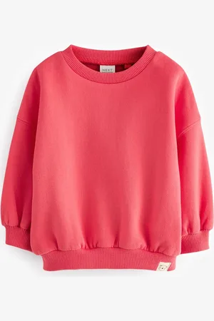 Next Sweatshirt (3mdr.-7år)2 - 3 år (92 - 98cm)