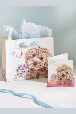 Next Cockapoo Gift Bag and Card SetEn