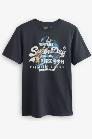 Superdry VL Tokyo Relaxed T-Shirtsmall