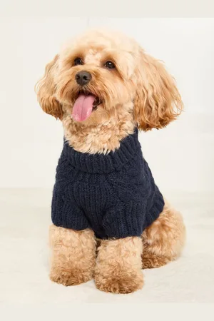 Lipsy London Super Soft Cable Design Hundetrøje med uldM