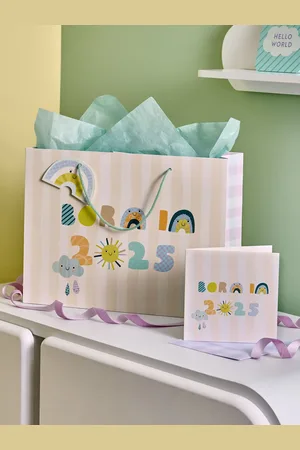 Next Baby Born in 2025 Weather Gift Bag and Card SetEn