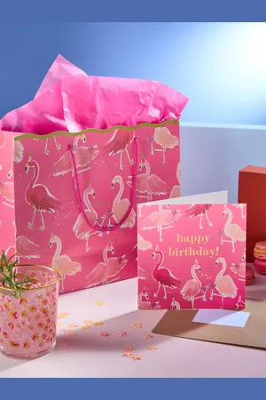Next Medium Flamingo Gift Bag and Card SetEn