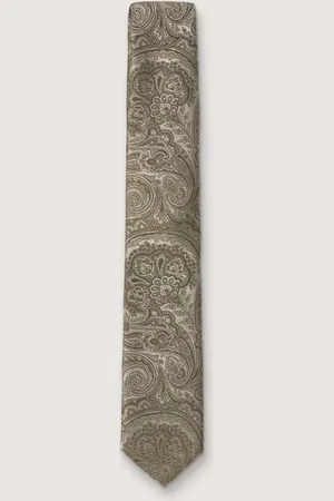 Antique Rogue Paisley TieEn