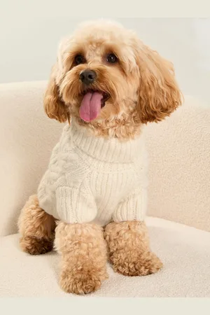 Lipsy London Super Soft Cable Design Hundetrøje med uldM