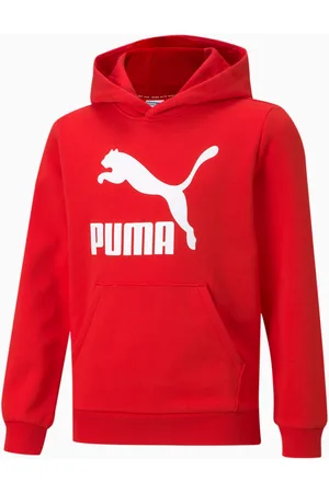 PUMA Classics Logo Youth Hoodie, , size 152, Clothing