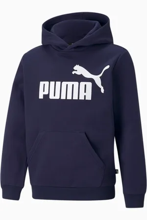 PUMA Essentials Big Logo Hoodie Youth, , size 104, Clothing