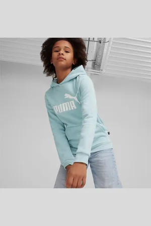 PUMA Essentials Logo Hoodie Youth, , size 104, Clothing
