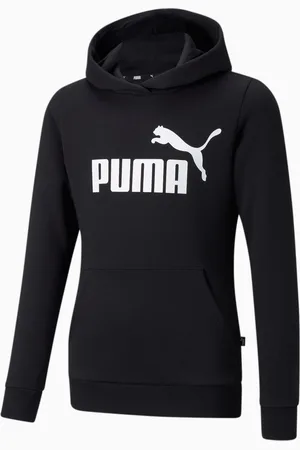 PUMA Essentials Logo Hoodie Youth, , size 104, Clothing