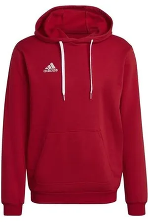 adidas Sweatshirts Entrada 22
