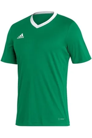 adidas T-shirts m. korte ærmer Entrada 22