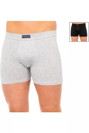 Abanderado Boxer A5398-1Q2