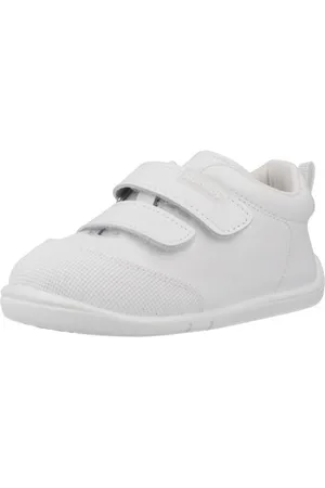 Titanitos Sneakers B500 ORSO