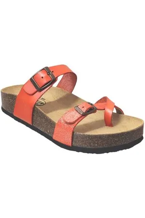 Plakton Klipklapper Cp bombay