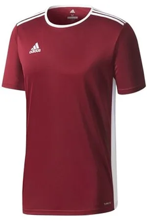adidas T-shirts m. korte ærmer JR Entrada 18