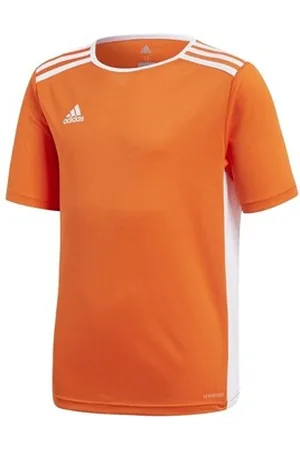 adidas T-shirts m. korte ærmer Entrada 18