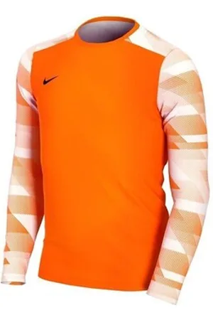 Nike T-shirts m. korte ærmer JR Dry Park IV