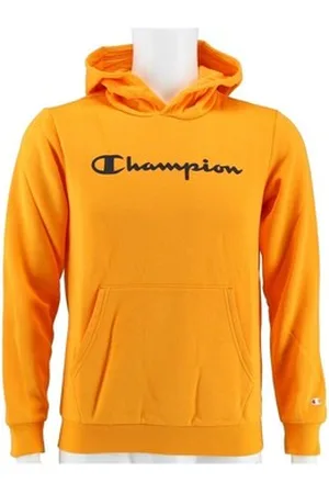 Champion Sweatshirts Big Logo Print