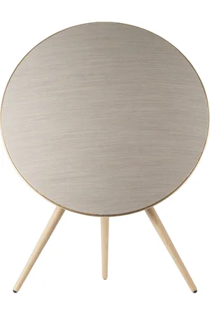 Bang & Olufsen Gray & Beosound A9 Speaker