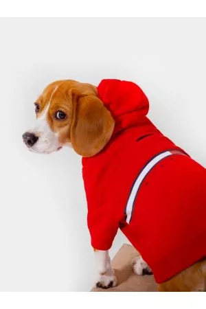Tommy Hilfiger Sweatshirts - Dog Hoody