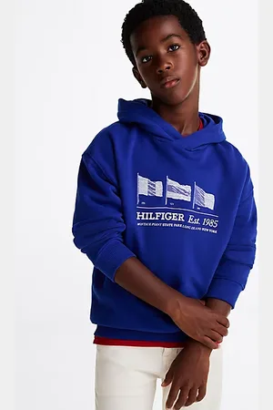 Tommy Hilfiger Flag Graphic Hoody