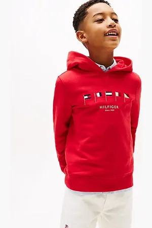 Tommy Hilfiger Multi-Flag Embroidery Hoody