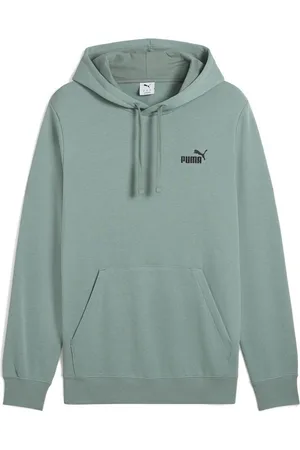 PUMA Essentials Small No. 1 Logo Hoodie