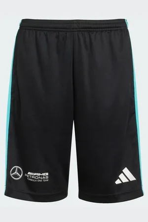 adidas Mercedes - AMG Petronas Formula One Team DNA Kids shorts