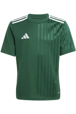 adidas Spilletrøje Campeon 25 - Grøn/Hvid Børn