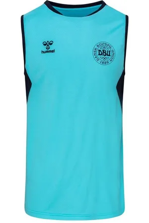 Hummel Danmark Trænings T-Shirt Pro - Blå/Navy Børn