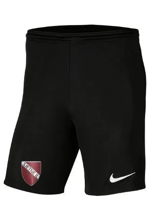 Nike Sjetne IL - Park III Knit Shorts Børn
