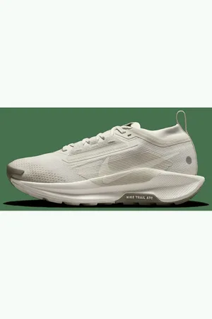 Nike Pegasus Trail 5 GORE-TEX